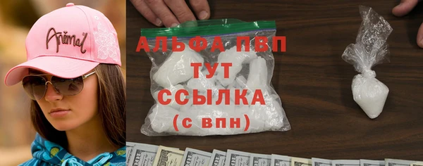 стаф Алексин