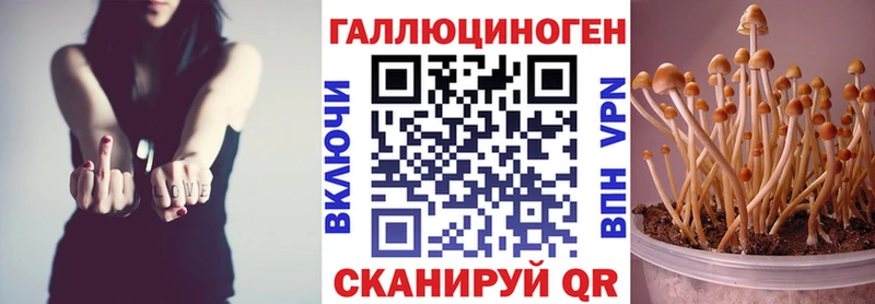 где купить   площадка наркотические препараты  Галлюциногенные грибы ЛСД  Кочубеевское 